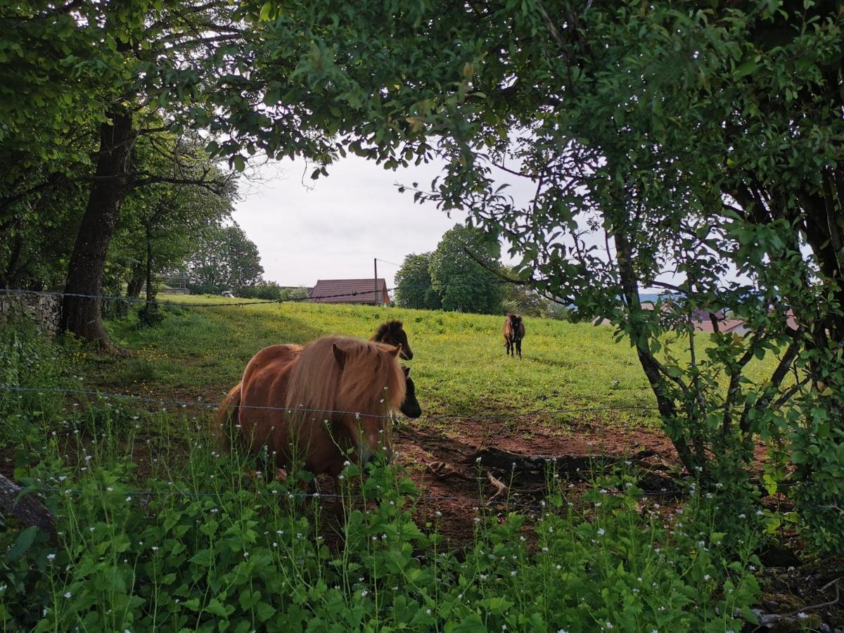 Gite Du Colombier Le Fied Luaran gambar