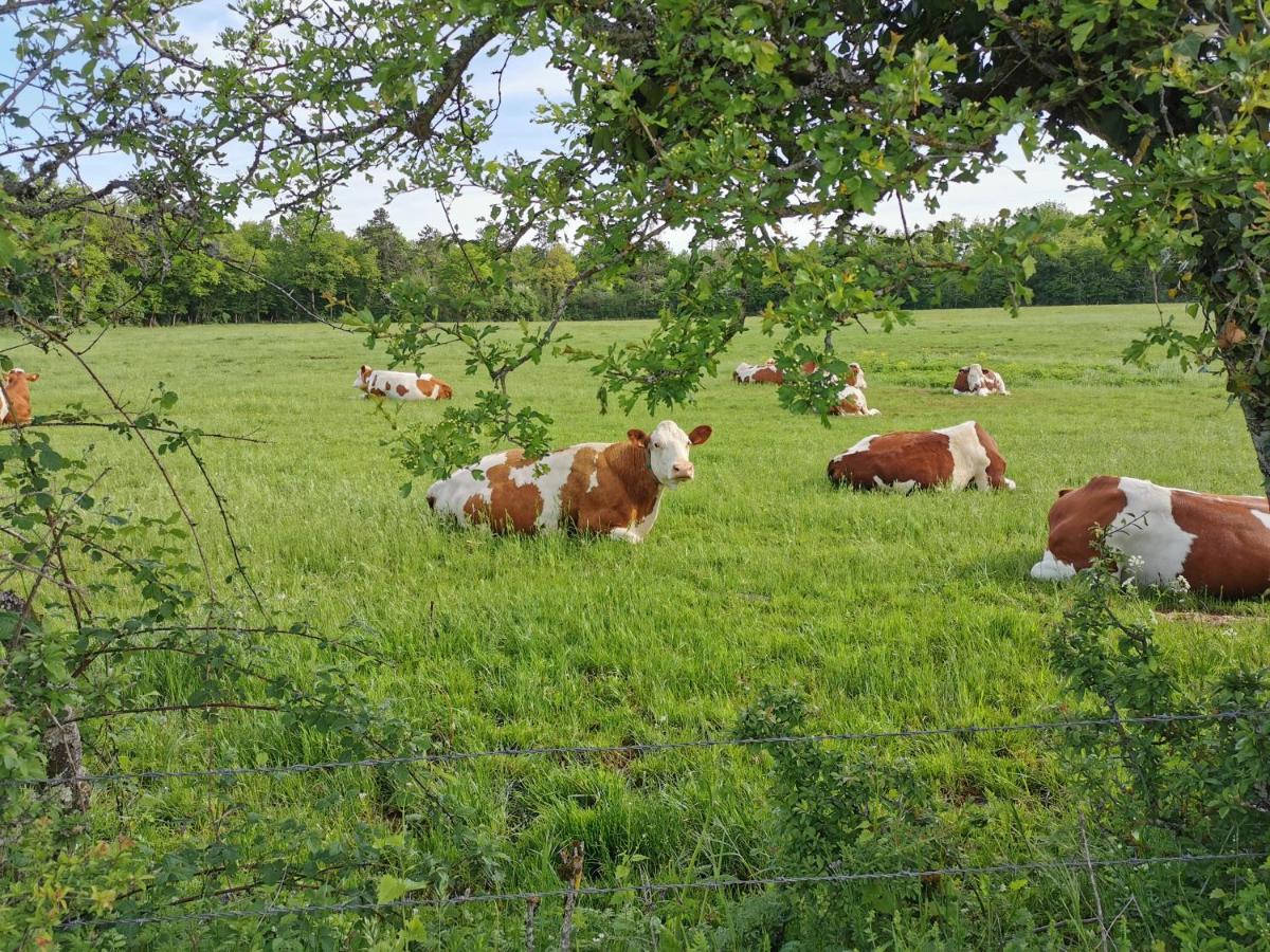 Gite Du Colombier Le Fied Luaran gambar