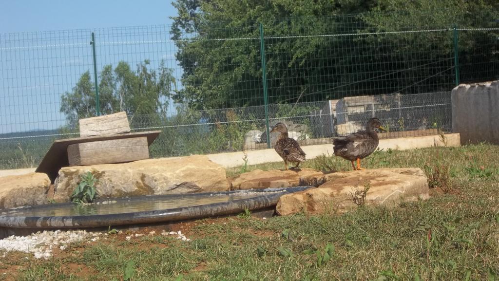 Gite Du Colombier Le Fied Luaran gambar