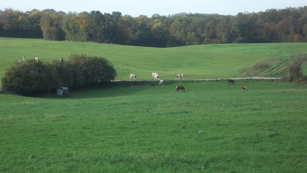Gite Du Colombier Le Fied Luaran gambar