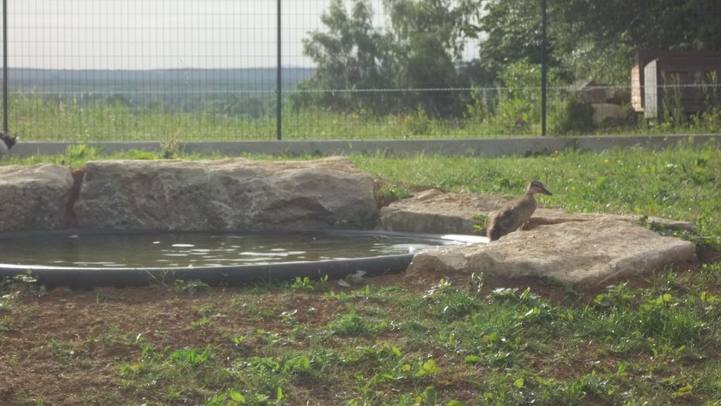 Gite Du Colombier Le Fied Luaran gambar